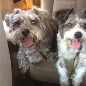 Meet your Posher, Margaret